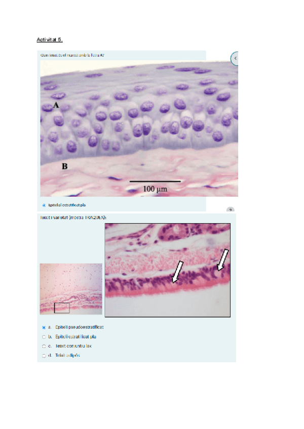 Miniatura del documento Activitat-5.pdf