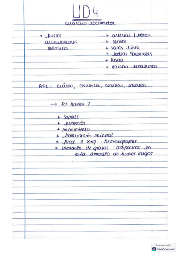 Miniatura del documento UD4-aparato-locomoteur.pdf