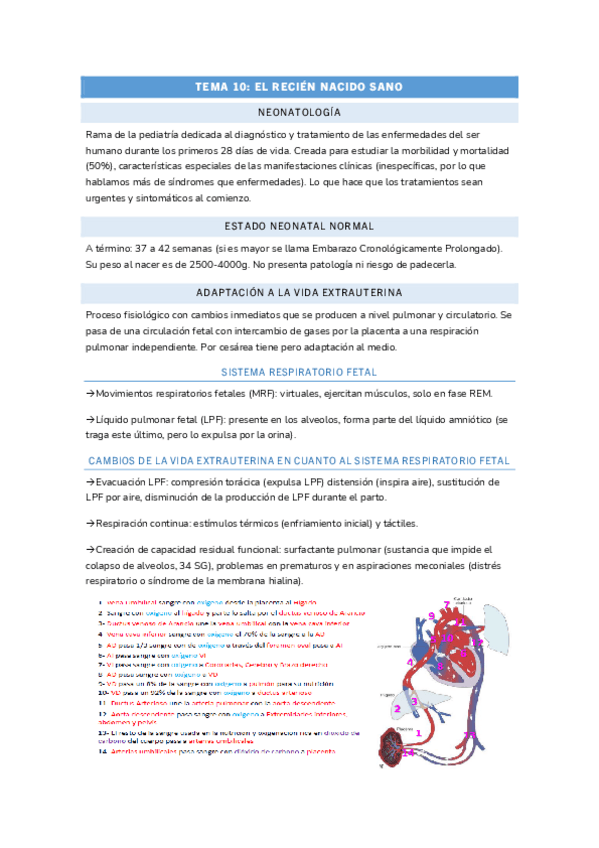 Miniatura del documento TEMA-10-INFANCIA.pdf