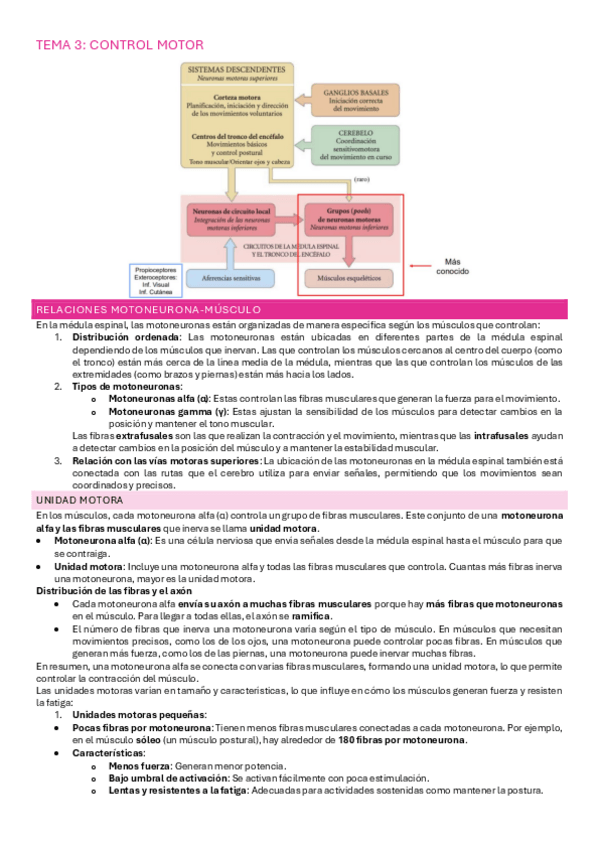 Miniatura del documento Tema-3.pdf