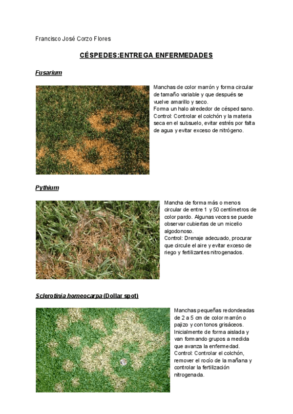 Miniatura del documento CESPEDES-ENTREGA-ENFERMEDADES.pdf