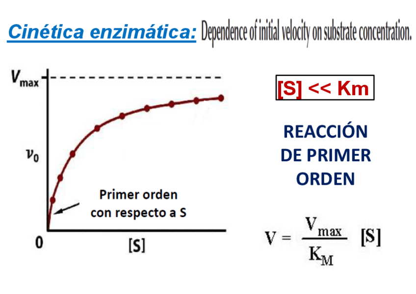 Miniatura del documento clase-6NHD.pdf