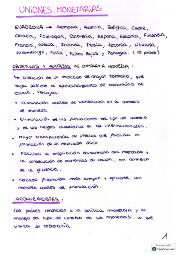 Miniatura del documento resumen-union-monetaria.pdf