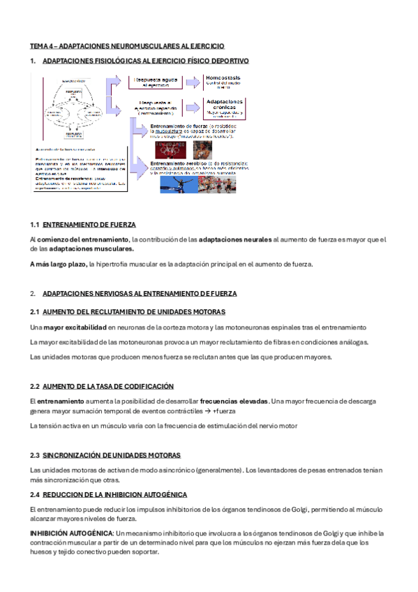 Miniatura del documento TEMA-4-Fisiologia.pdf