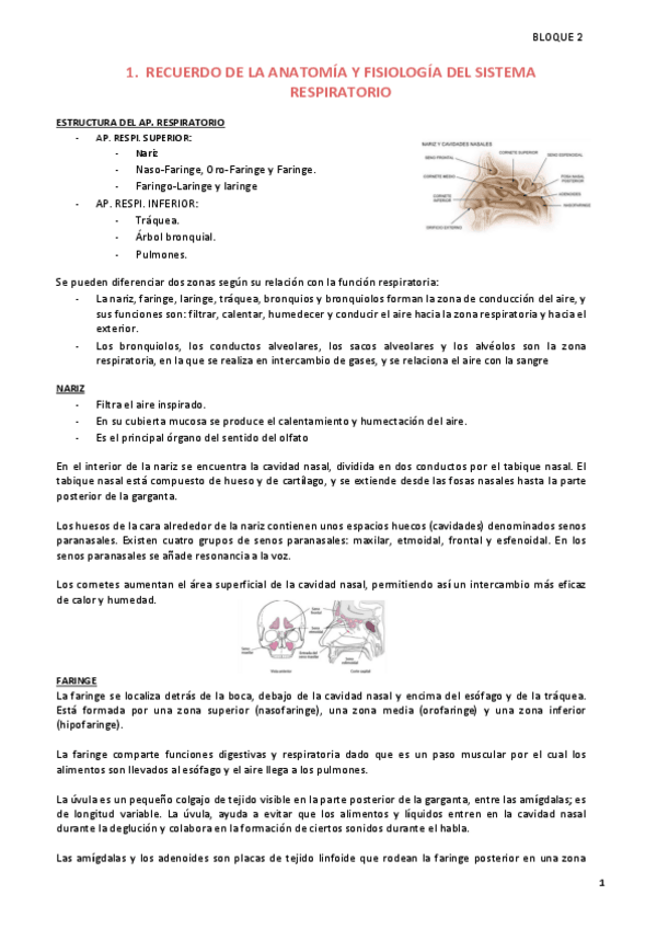 Miniatura del documento CLINICA-B2-Resumen.pdf