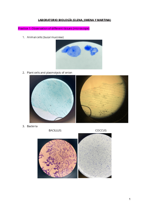Miniatura del documento lab-biologia.pdf