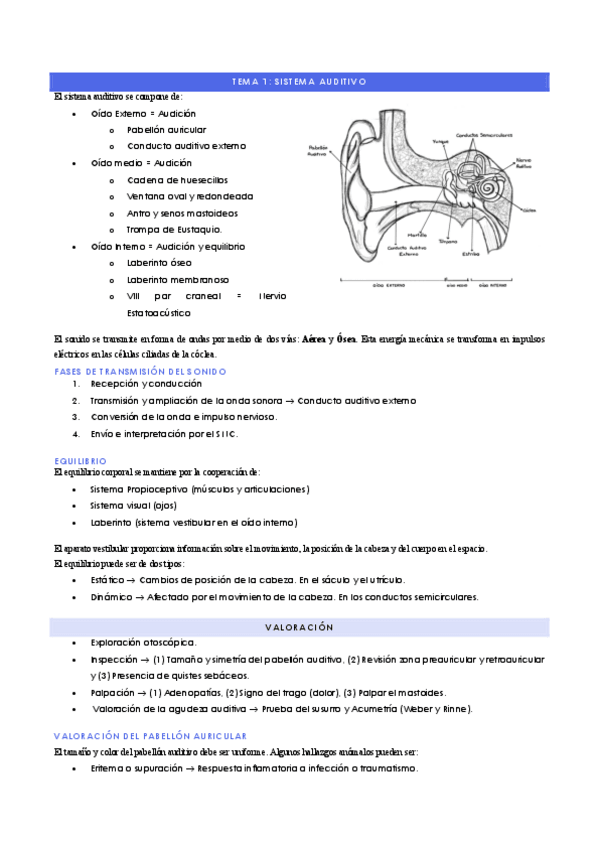 Miniatura del documento TEMA-1-SISTEMA-AUDITIVO.pdf