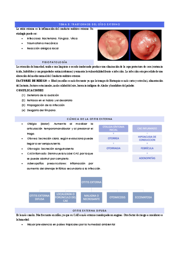 Miniatura del documento TEMA-3-TRASTORNOS-OIDO-EXTERNO.pdf