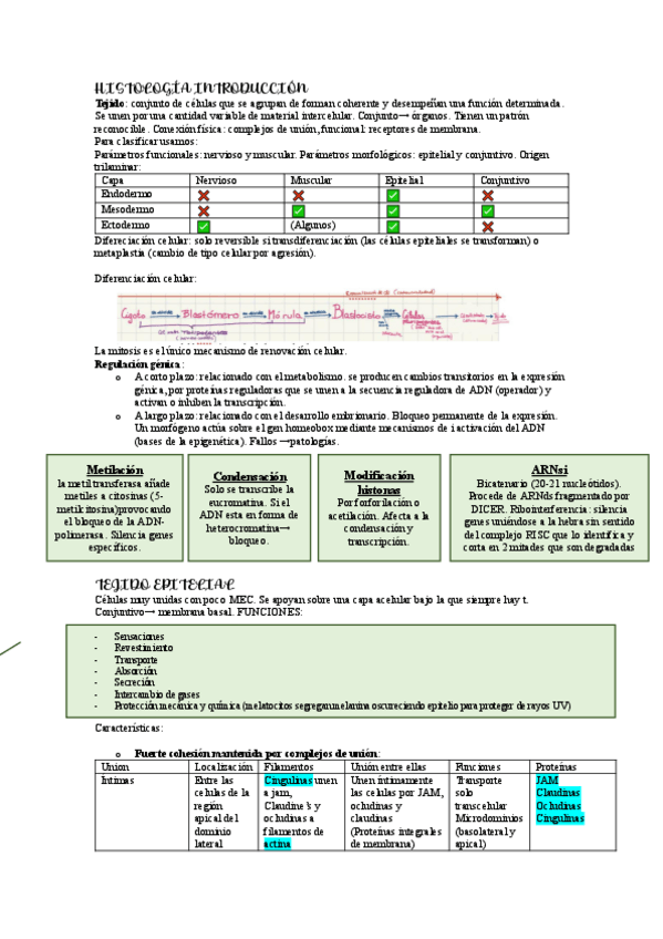 Miniatura del documento temas-45-y-6.pdf