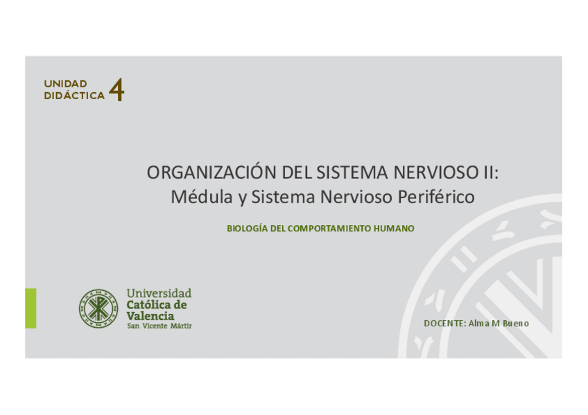 Miniatura del documento BCHUD4.-Organizacion-SN-II-Medula-y-SN-Periferico.pdf