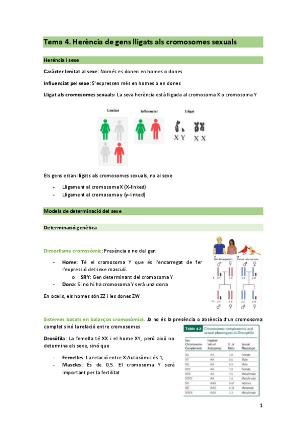 Miniatura del documento T4-GEN.pdf