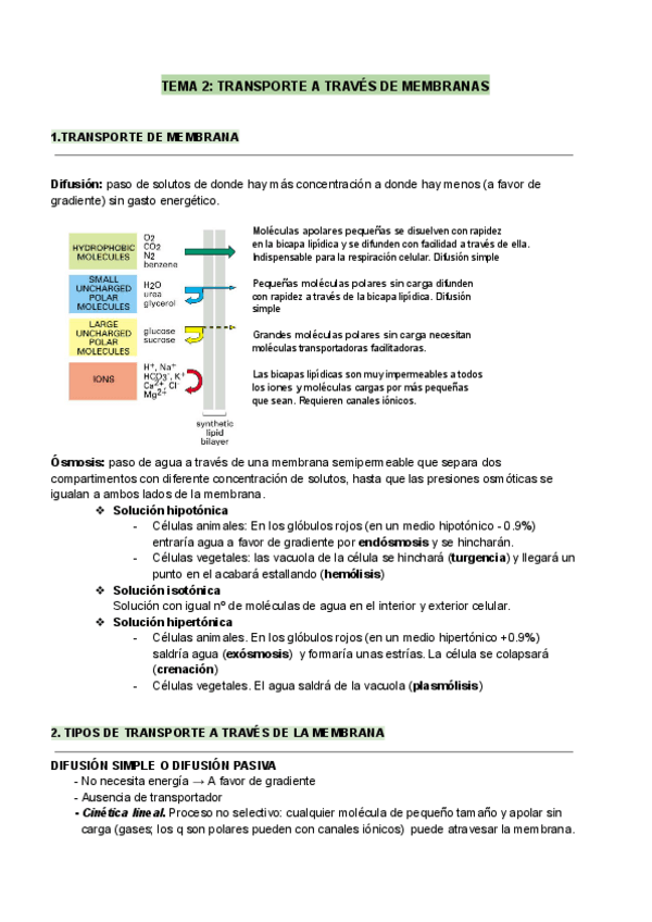 Miniatura del documento BIOLOGIA-T2.pdf