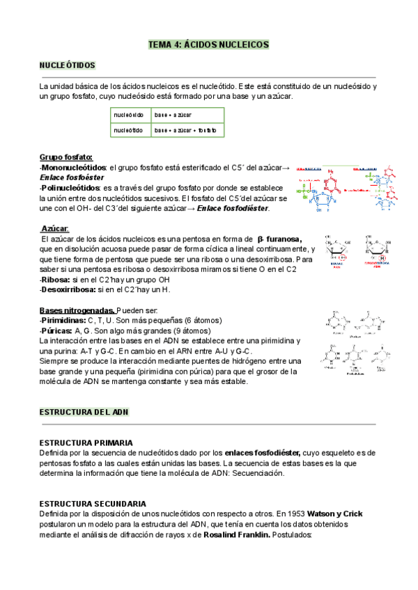 Miniatura del documento BIOLOGIA-T4.pdf