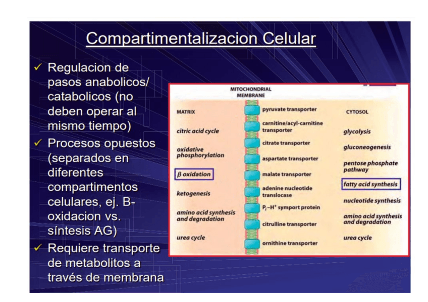 Miniatura del documento clase-7NHD.pdf