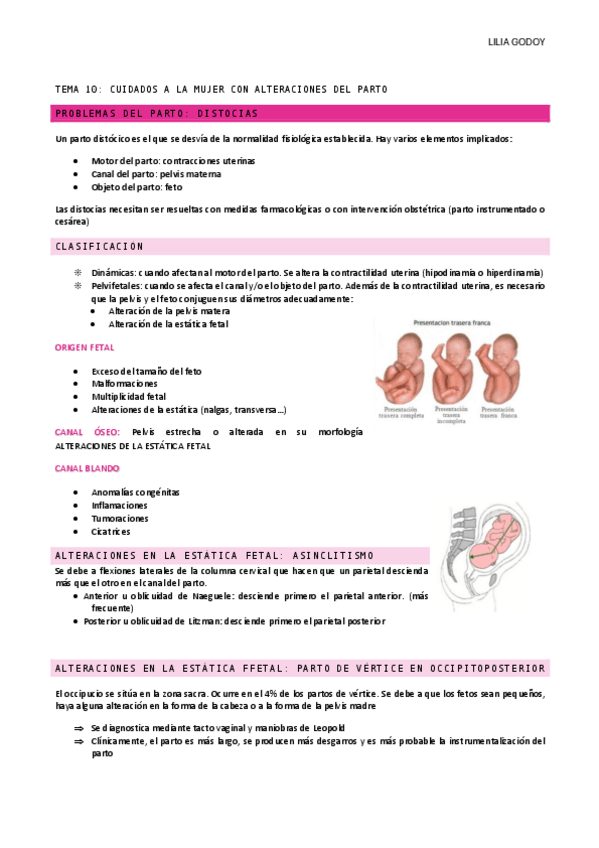 Miniatura del documento TEMA-10.pdf