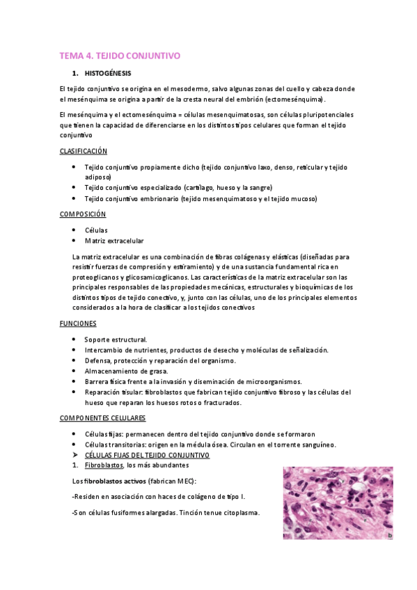 Miniatura del documento tema-4-HISTOLOGIA.pdf