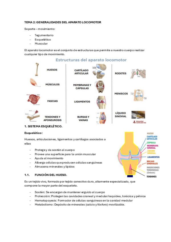 Miniatura del documento TEMA-2a.pdf