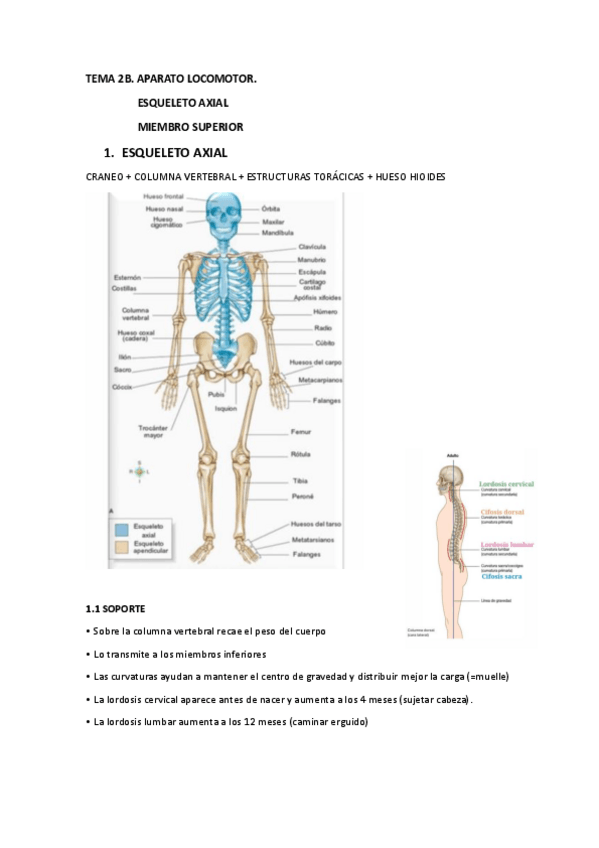 Miniatura del documento TEMA-2B.pdf