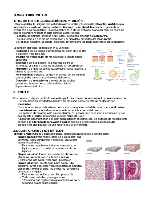 Miniatura del documento tema-3.pdf