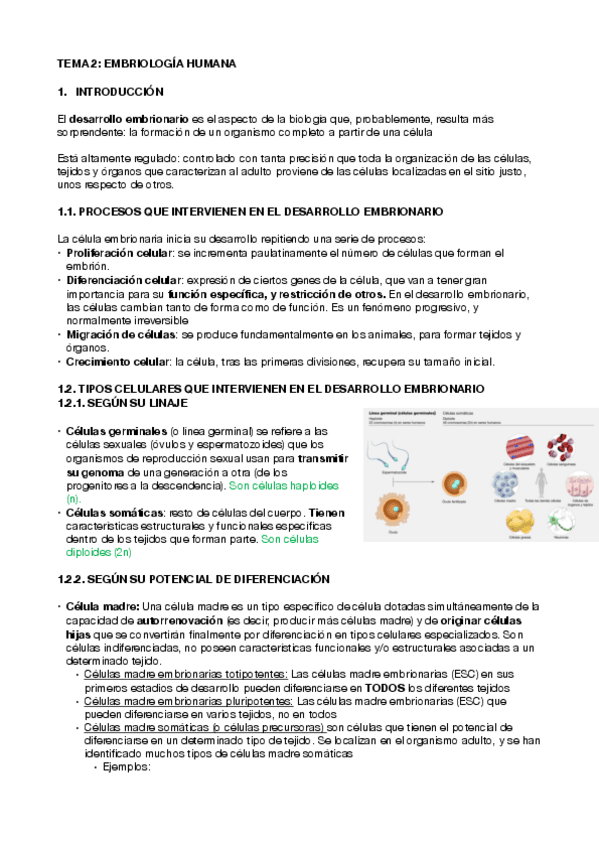 Miniatura del documento TEMA-2.pdf