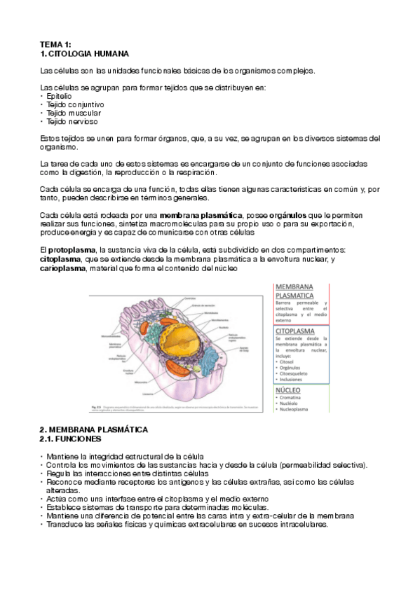 Miniatura del documento Tema-1.pdf