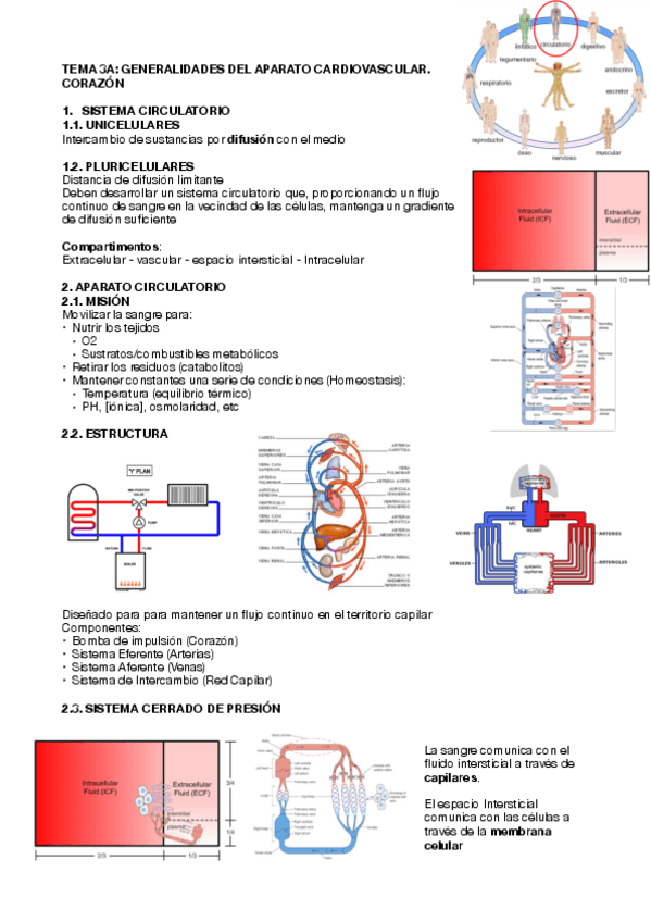 Miniatura del documento Tema-3a.pdf