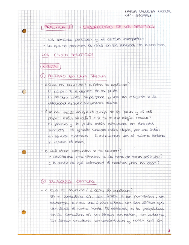 Miniatura del documento cuaderno-laboratorio.-MARIA-LALUEZA.pdf