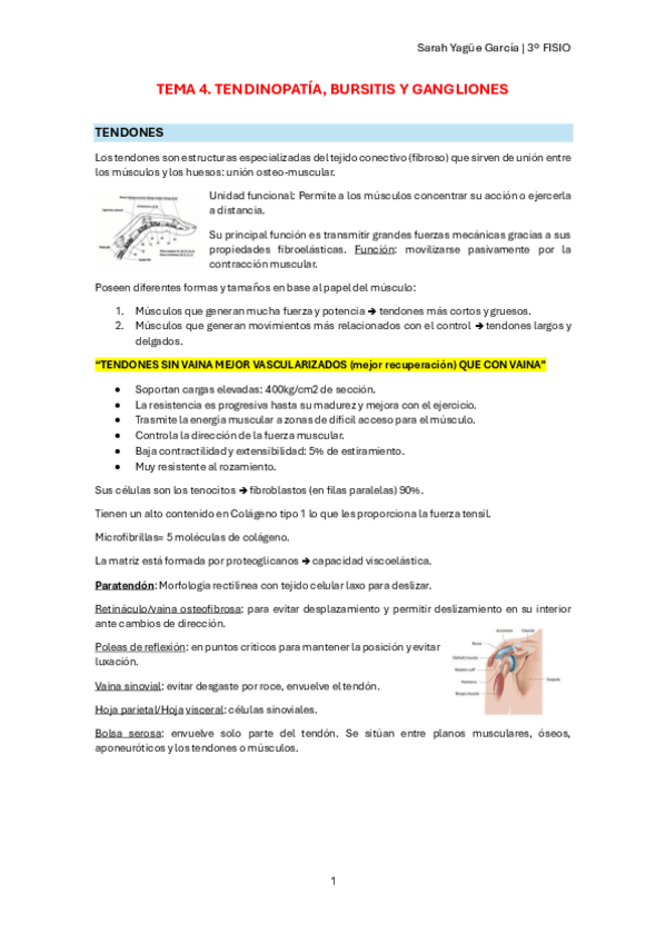 Miniatura del documento T4-Tendinopatia-bursitis-y-gangliones.pdf