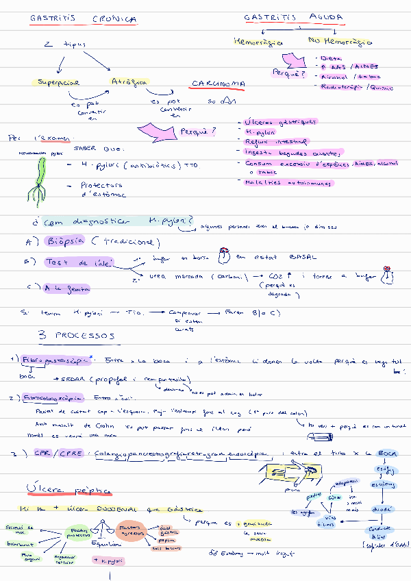 Miniatura del documento Inf.-Clinica-Trastorns-gastrointestinals.pdf