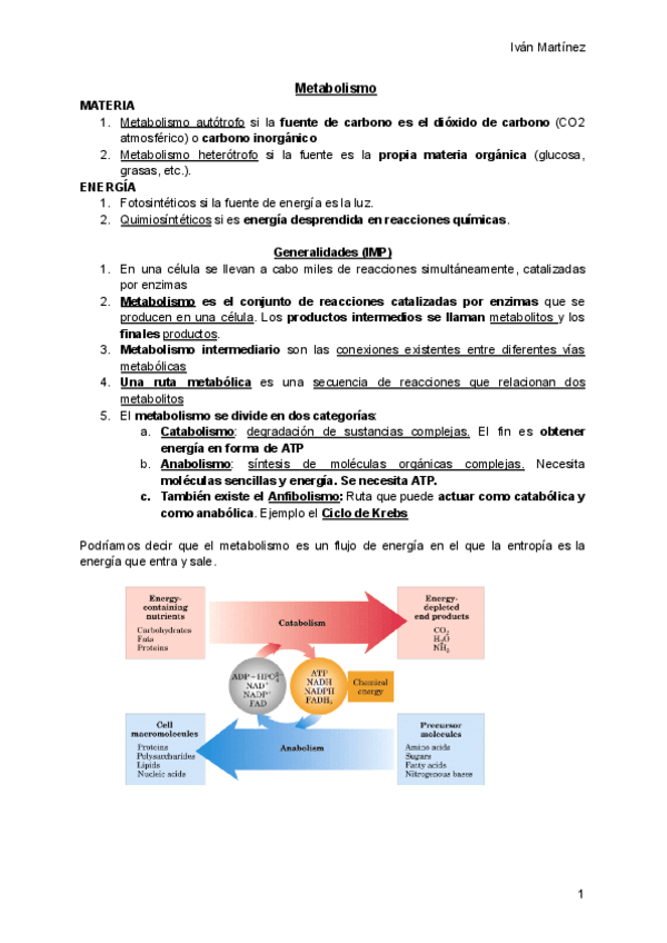 Miniatura del documento Tema-metabolismo-de-glucidos.pdf