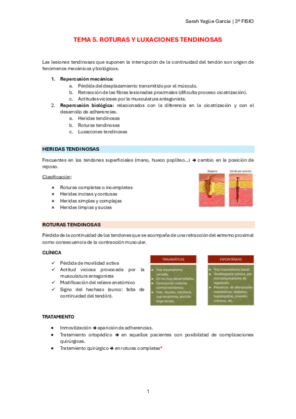 Miniatura del documento T5-Roturas-y-luxaciones-tendinosas.pdf