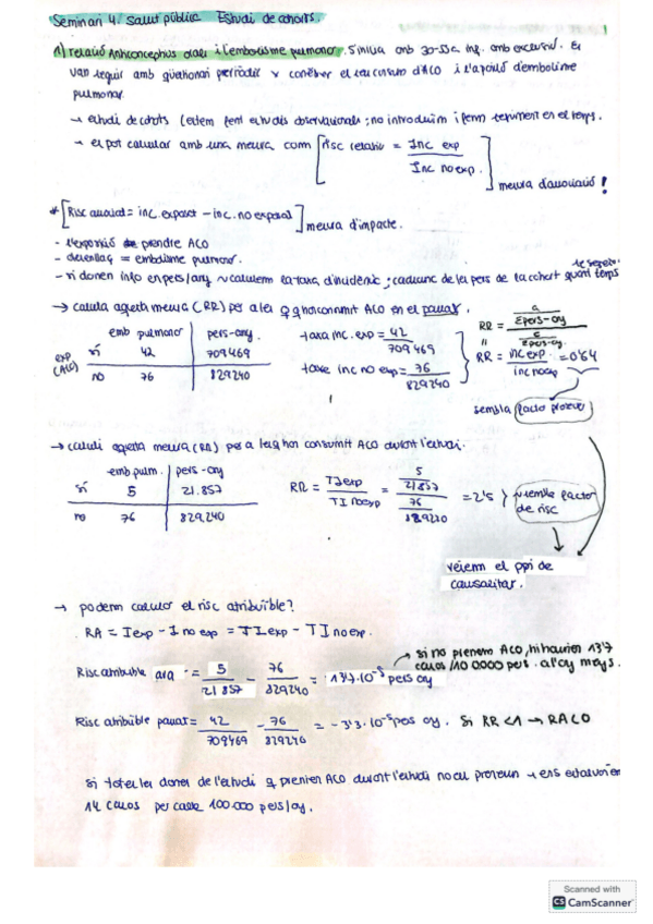 Miniatura del documento Seminari-4.-Salut-publica.pdf