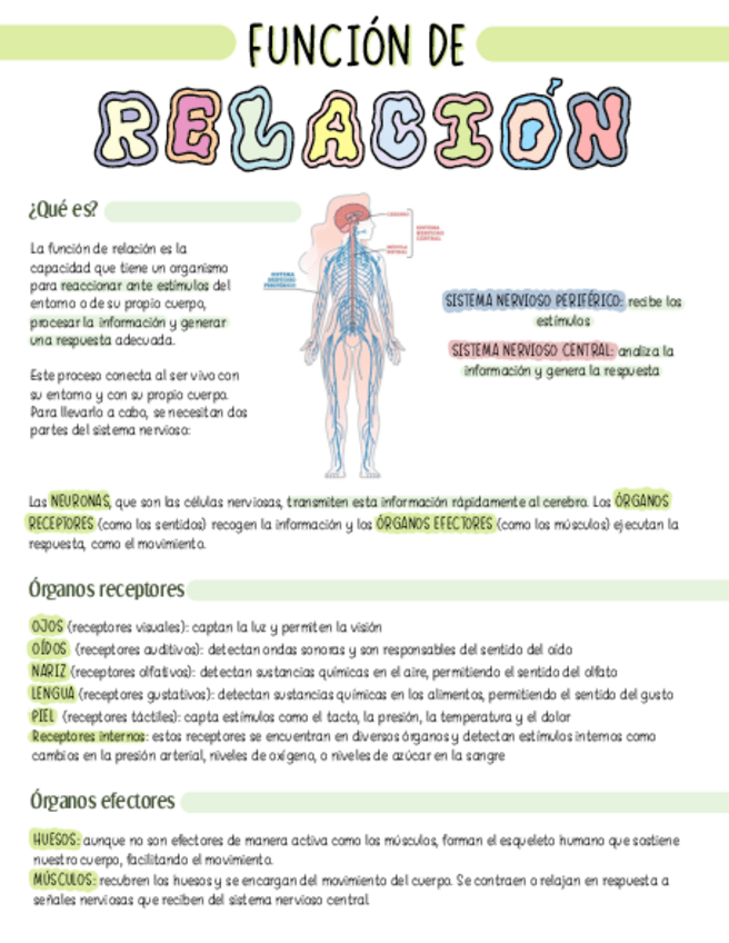 Miniatura del documento Funcion-de-relacion.pdf
