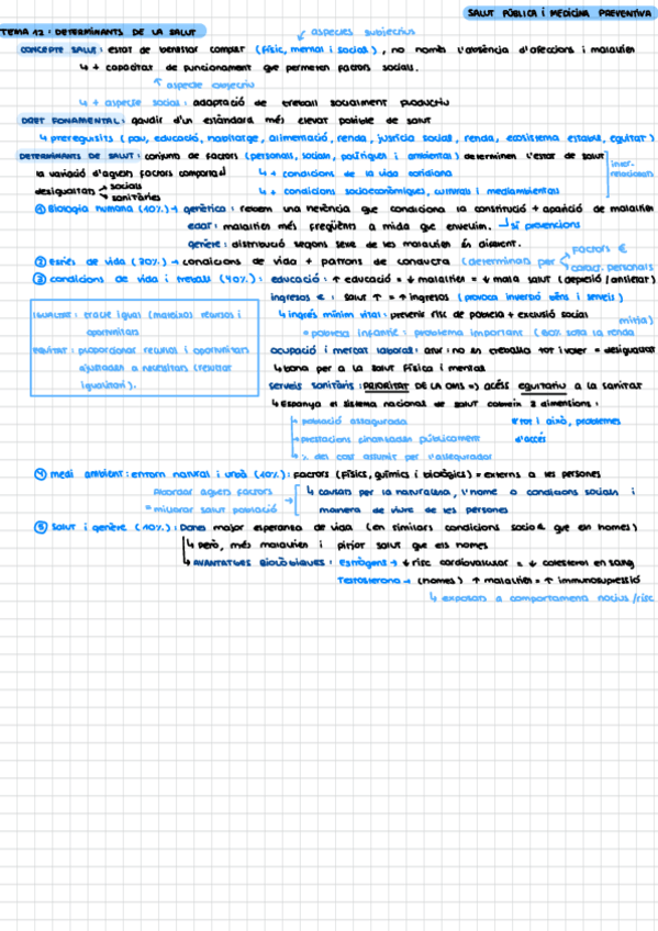 Miniatura del documento Resum-salut-publica.pdf