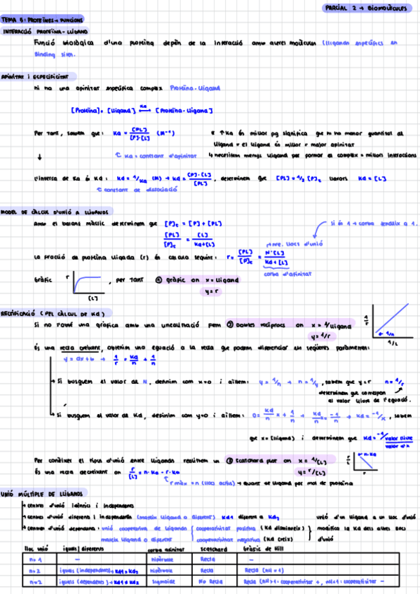 Miniatura del documento resum-parcial2-biomols.pdf