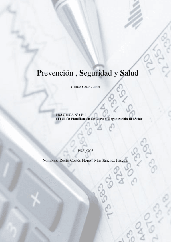 Miniatura del documento PSSG031.pdf