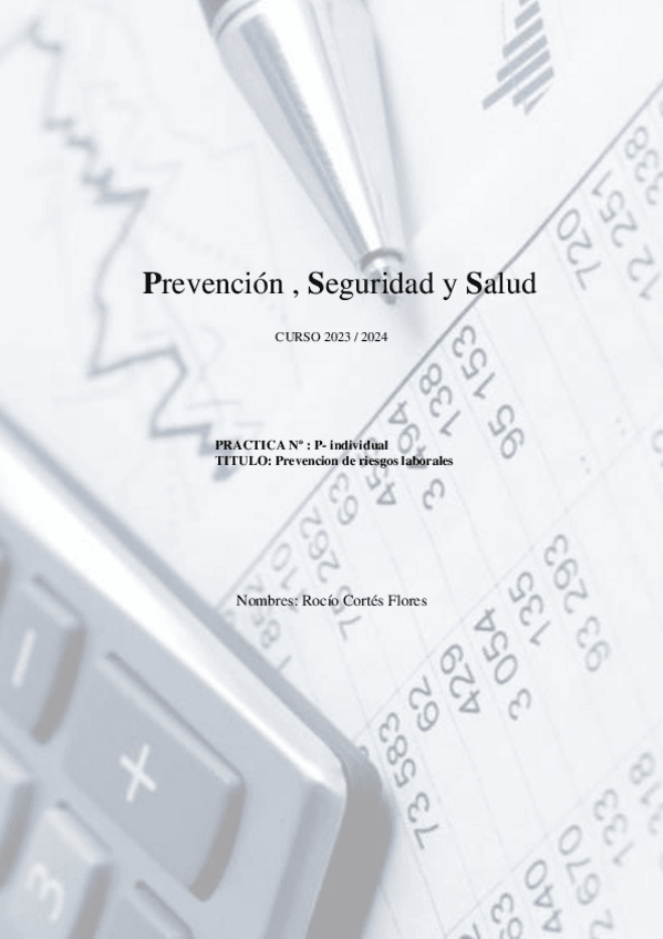 Miniatura del documento Ejercicio-individual-prevencion-de-riesgos.pdf