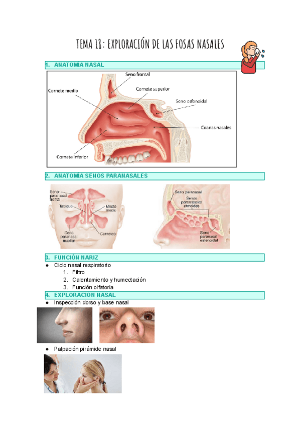 Miniatura del documento TEMA-18-OIDOS.pdf