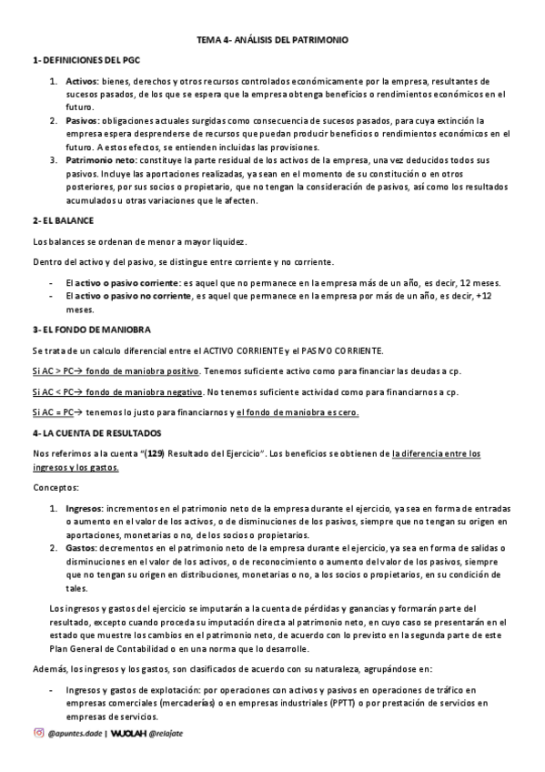 Miniatura del documento TEMA-4-Analisis-del-patrimonio.pdf