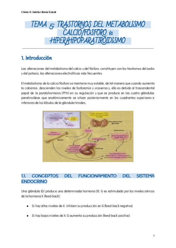 Miniatura del documento TRASTORNOS-DEL-METABOLISMO-CALCIO-FOSFORO-vs-HIPER-HIPOPARATIROIDISMO.pdf