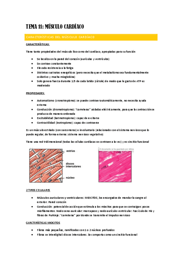 Miniatura del documento TEMA-11-FISIO.pdf
