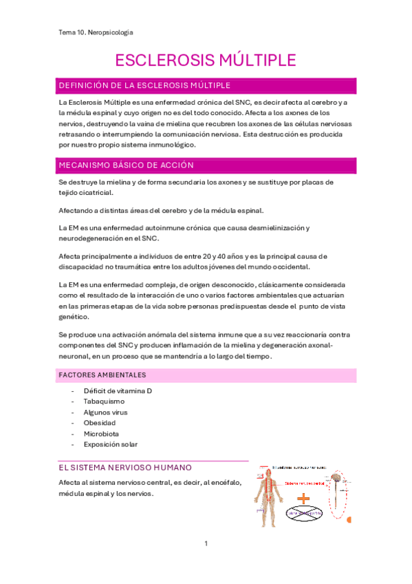 Miniatura del documento tema-10.-Neuropsicologia..pdf