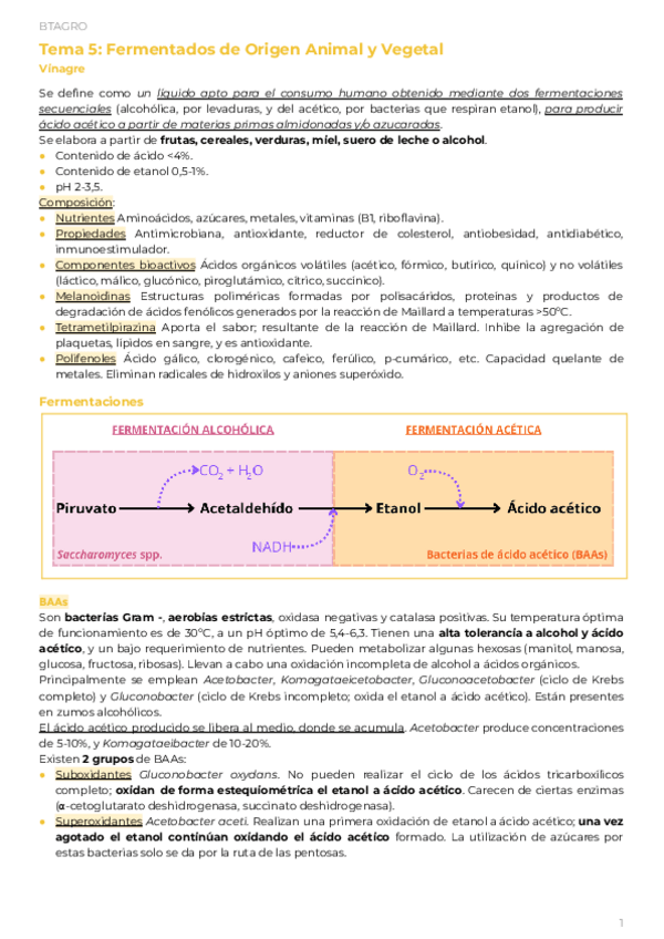 Miniatura del documento PAR1Tema-5.2-Fermentados-de-origen-Animal-y-VegetalVinagre.pdf