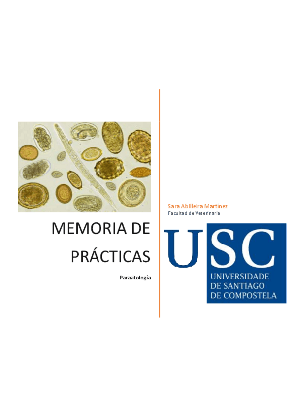 Miniatura del documento MEMORIA-PRACTICAS.pdf