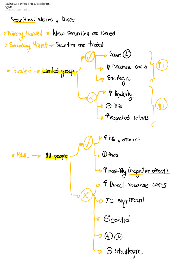 Miniatura del documento Issuing-Securities-and-subscription-rights.pdf