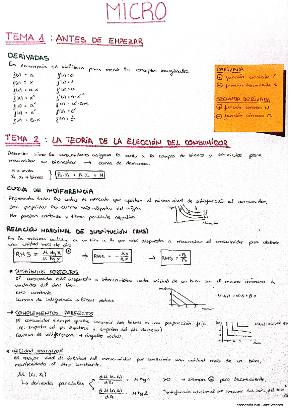 Miniatura del documento APUNTES COMPLETOS.pdf