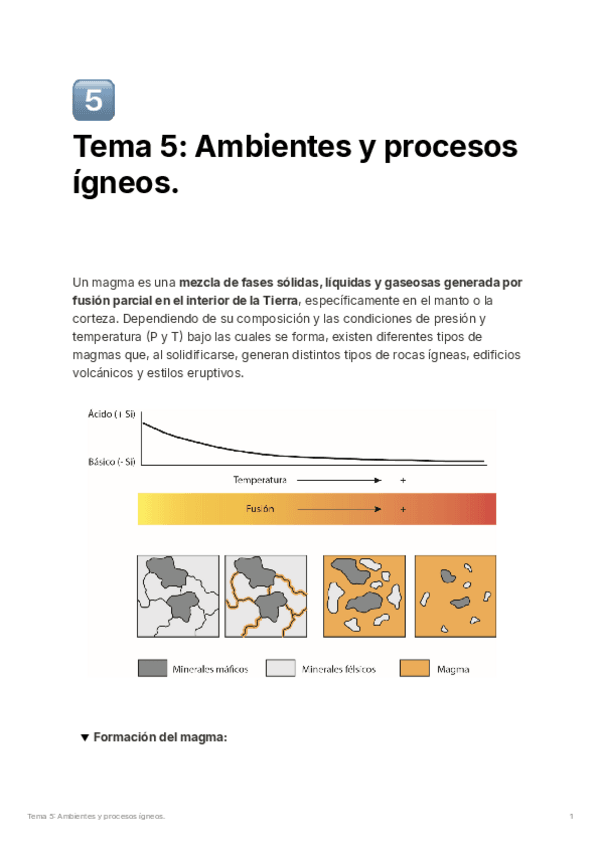 Miniatura del documento tema5.pdf