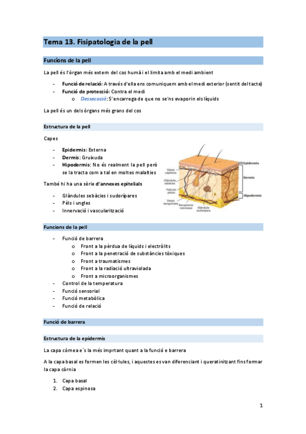 Miniatura del documento T13-derma.pdf