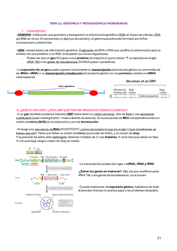 Miniatura del documento TEMA-2a-AMIC.pdf