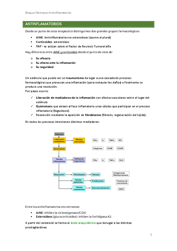 Miniatura del documento Bloque-farmacos-antiinflamatorios.pdf